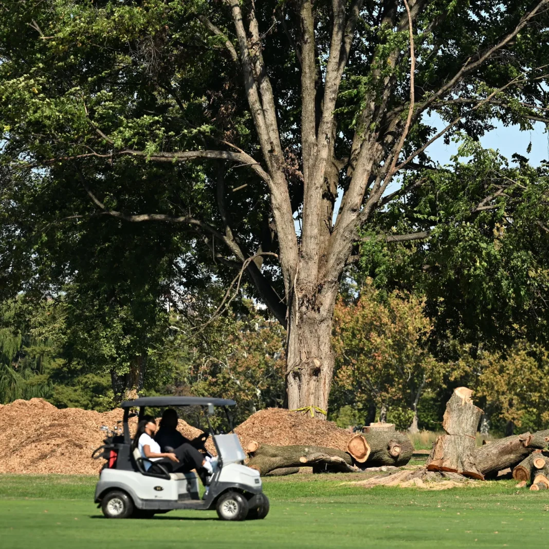 00dc golf mjgw mediumsquareat3x